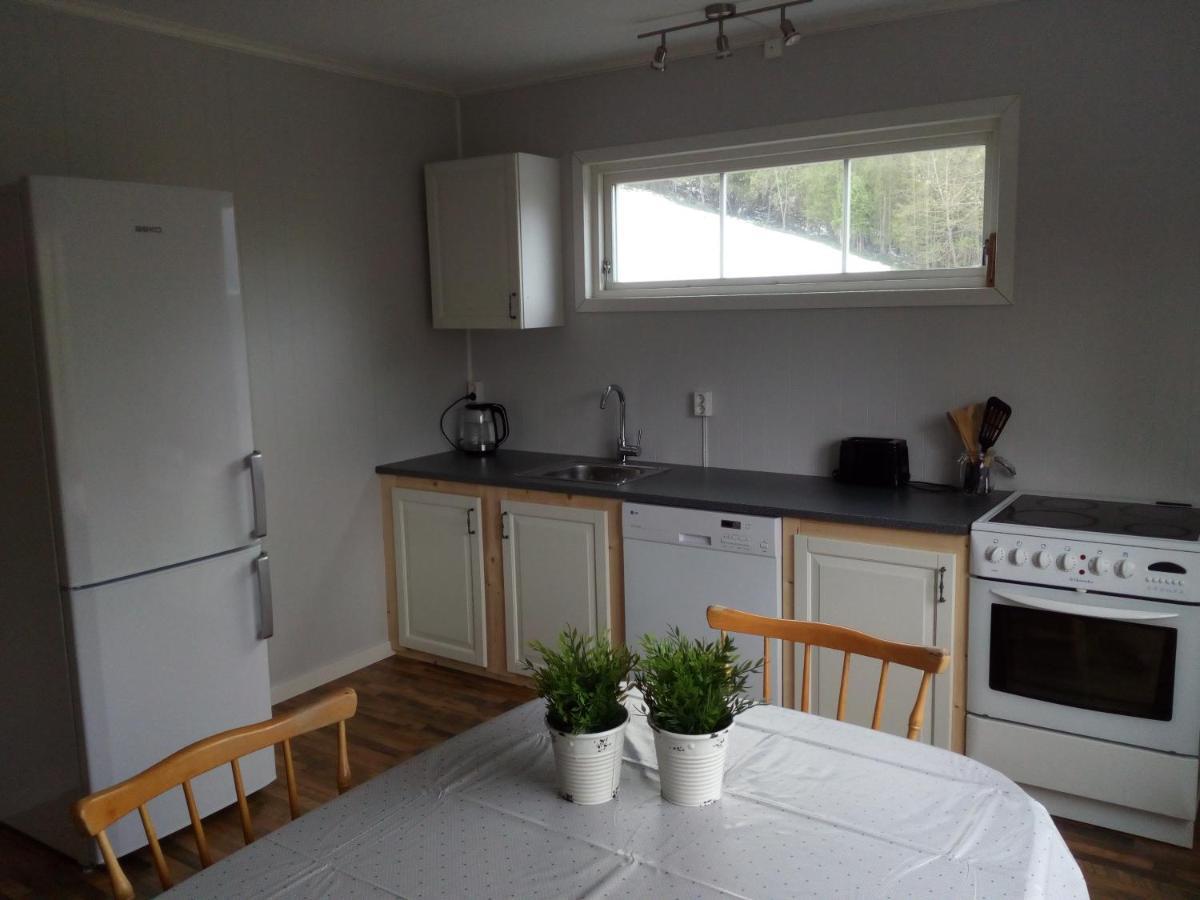IsfjordenMountain View House别墅 外观 照片
